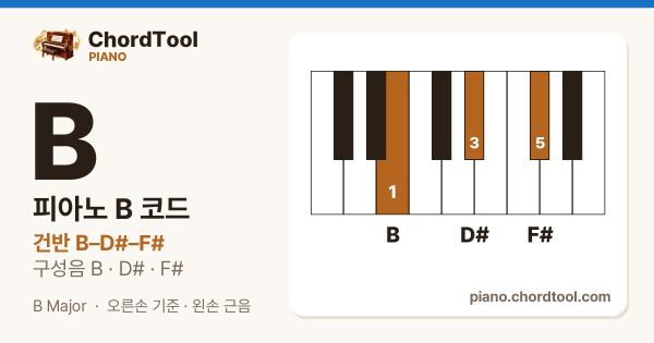 피아노 B코드 건반 위치